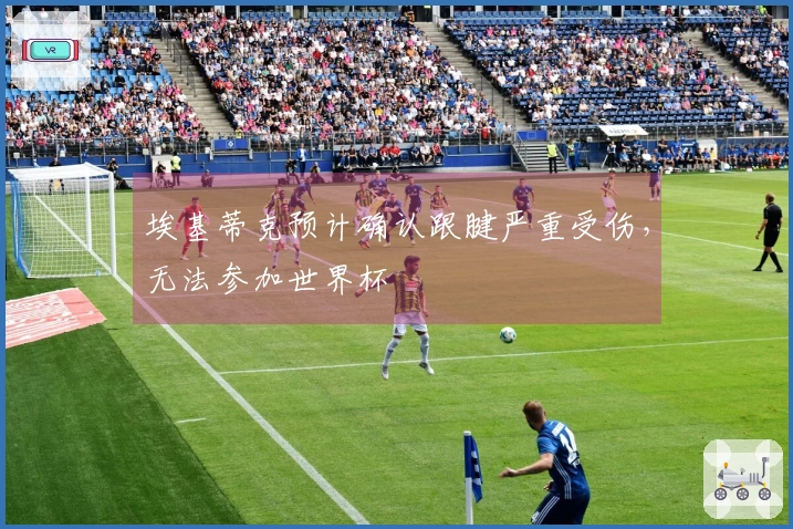 埃基蒂克预计确认跟腱严重受伤，无法参加世界杯