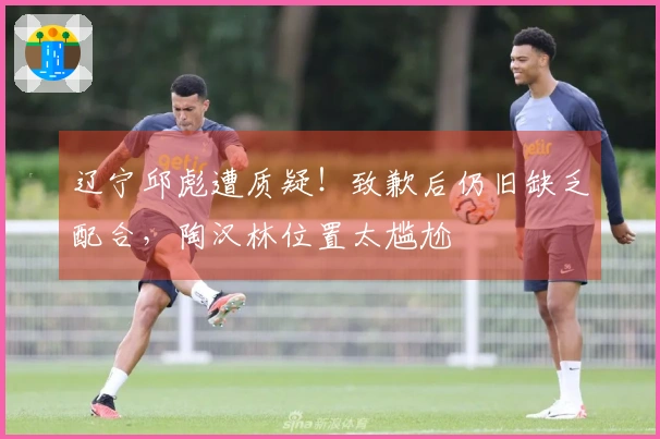 辽宁邱彪遭质疑！致歉后仍旧缺乏配合，陶汉林位置太尴尬