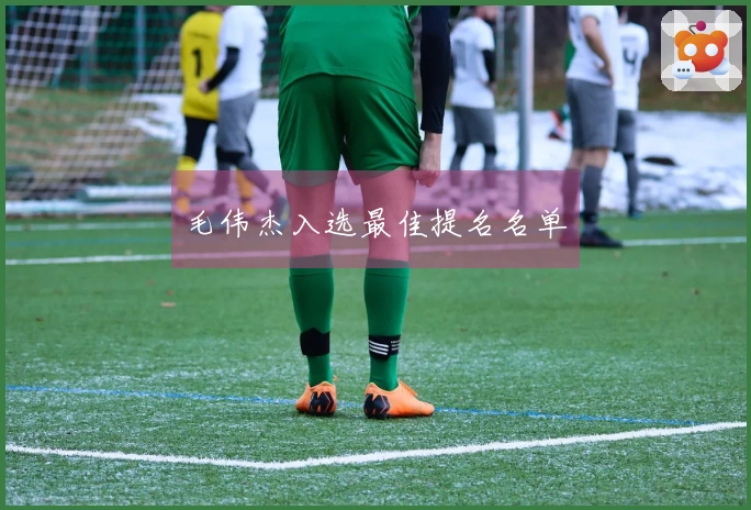 毛伟杰入选最佳提名名单